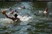 DSC_3055.JPG