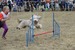 DSC_3421.JPG