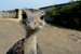 DSC_3921.JPG